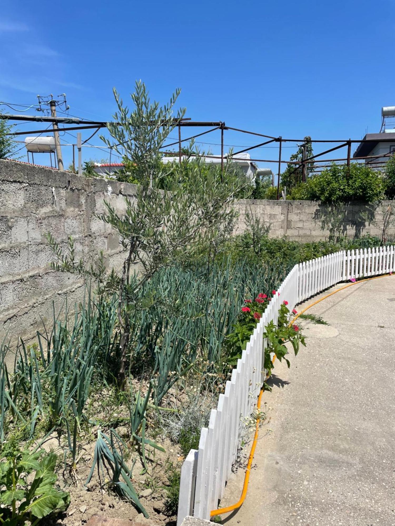 Rental Houses Dukaj Vlorë 외부 사진